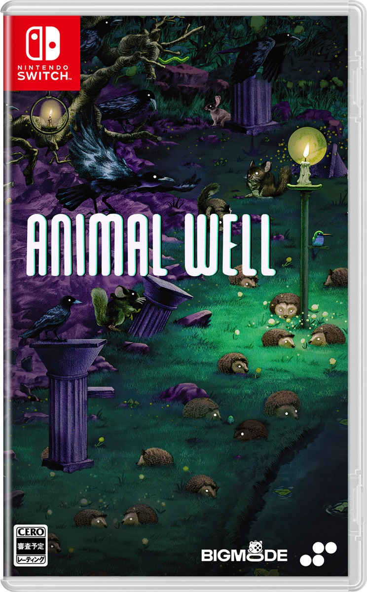 ANIMAL WELL アニマルウェル switch ニンテンドースイッチ Animal Well - Nintendo Switch (PRE-ORDER) — VIDEOGAMESPLUS.CA