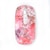 EGRET�bBluetooth �� 2.4G�Ή����V�[�o�[�t���A�[�d���É��}�E�X�@PrettiE�i��ࣁj�bEM23-P1