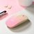 EGRET�bBluetooth �� 2.4G�Ή����V�[�o�[�t���A�[�d���É��}�E�X�@PrettiE�i���`�j�bEM23-P2