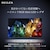 REGZA�i���O�U�j�b�y���O�����E�����ς�K�{�z100V�^ RGB Mini LED�t���e���r�mBS�ECS 4K�`���[�i�[�����n�b100ZX3S