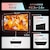 REGZA�i���O�U�j�b43V�^ �t���e���r�mBS�ECS 4K�`���[�i�[�����n�b43E350S