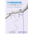 Anker�bPowerLine III Flow USB-C �� USB-C �P�[�u�� 1.8m�i���C�g�p�[�v���j�bA8553NV2