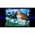 �V�e�B�R�l�N�V�����b�ySwitch�z�t�@�[�����h�T�[�K I&II �T�^�[���g���r���[�g�@�ʏ�ŁbHAC-P-BNSYA NSW ̧-���޻-�� 1 ���� 2 ��-����ޭ-� ³�ޮ�