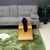 �㓡�Ƌ�Y�E��샊�r���O�؍H�Ёb�h�b�O�X�e�b�v 2�i(�L������)�y�����i�Ƃ̓����w���s�z���[�J�[�����i(���ꌧ�E�����͂��͂��ΏۊO�ƂȂ�܂�)�bDS-STEP-2-CAM