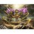 �z�r�[�x�[�X�b�y�Đ��Y�zHacKClaD CROSS FATE�@(�n�b�N�N���b�h�@�N���X�t�F�C�g)�bʯ��ׯ�� ����� �۽̪��