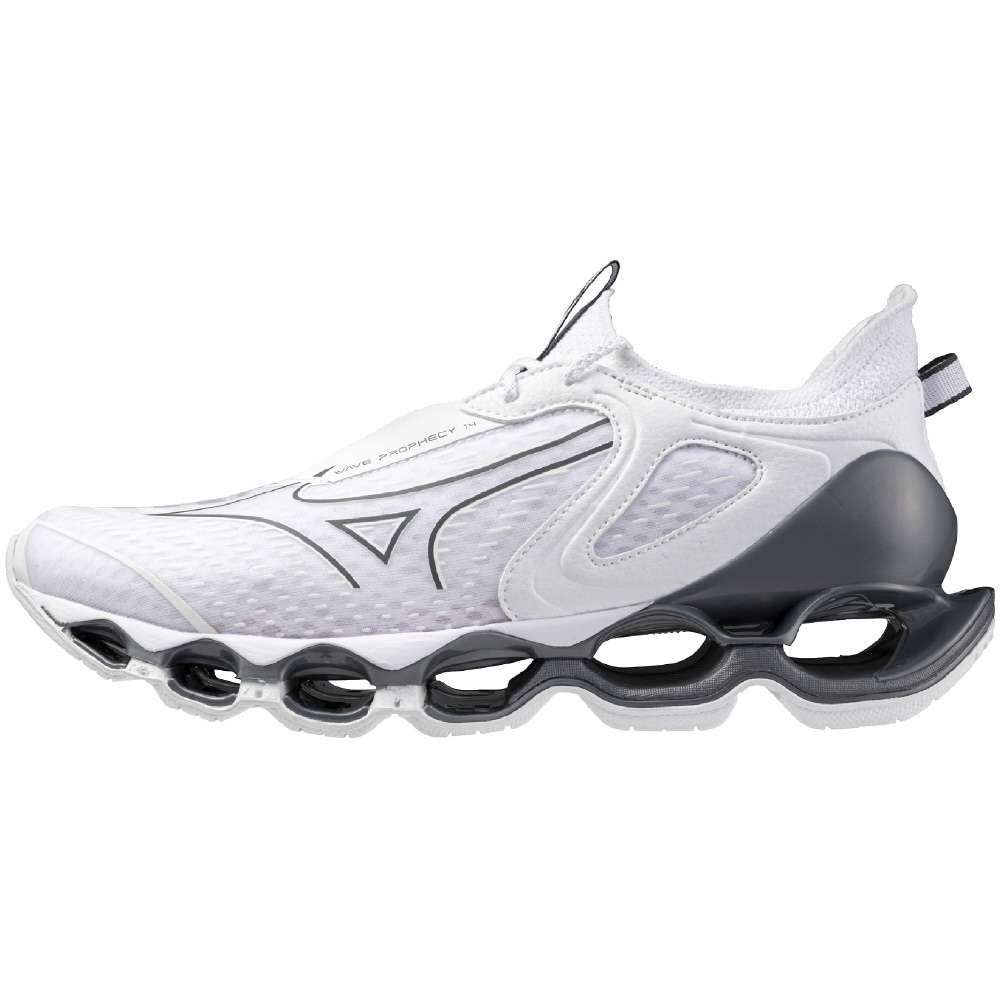楽天市場】【2024年秋冬新作】MIZUNO WAVE PROPHECY LS D1GA2454