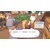 THQ Nordic Japan�b�ySwitch�z���R���g Locomoto�bHAC-P-BMQ7B NSW ۺ��