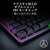 Razer｜【国内正規品】ラピッドトリガー対応 光学式オプティカルキーボード 有線 フルサイズ 日本語配列｜RZ03-04971300-R3J1
