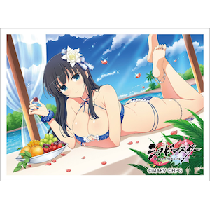 「シノビマスター 閃乱カグラ NEW LINK」スリーブ（斑鳩／人気投票爆乳祭）