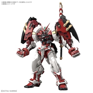 �o���_�C�X�s���b�c�b1/100 �n�C���]�����[�V�������f�� �K���_���A�X�g���C ���b�h�t���[�� �p���[�h���b�h(�@����m�K���_��SEED ASTRAY)�bBS 1/100 ʲڿ� �����ѱ��ڲ گ���ڰ�