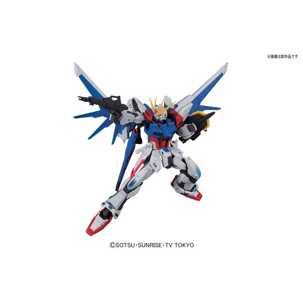 rg ビルドストライクガンダム フルパッケージ 水転写デカール