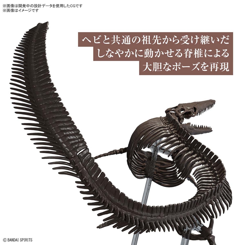 モササウルス パドル ヒレ 化石 全身骨格用パーツ 恐竜 三葉虫 1117② 1/32 Imaginary Skeleton モササウルス | バンダイスピリッツ