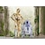 �o���_�C�X�s���b�c�b�y�Đ��Y�zS.H.Figuarts C-3PO -Classic Ver.- �iSTAR WARS�FA New Hope�j�bSHF C-3PO �׼��