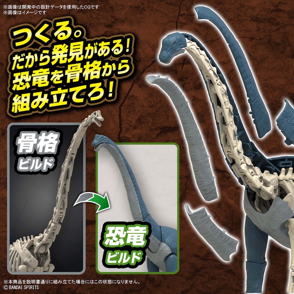 美品　ブラキオ龍樹　3枚セット ブラキオ龍樹 3枚セット ブラキオ龍樹 3枚セットオンライン