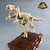�o���_�C�X�s���b�c�b�m���X�P�[�� �v���m�T�E���X JURASSIC WORLD T-���b�N�X�bBS ���ɻ�ٽ JW Tگ��