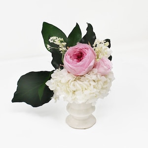 プリザーブドフラワー 杏 Ann Joshin Webショップ 通販 a k Akm 003 A K プリザーブドフラワー 杏 Ann Joshin Webショップ 通販 a k Akm 003 A K