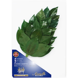 �`���j�b�v���~�A���� M�T�C�Y �֗t���ʔ� �ꑩ�bSKK-006PV