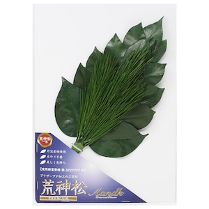 �`���j�b�v���~�A���r�_�� M�T�C�Y �ꑩ�bKJM-003P