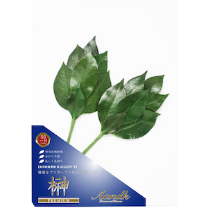 �`���j�b�v���~�A���� SS�T�C�Y ��΁bSKK-007SS