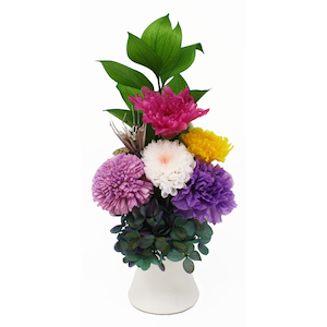 プリザーブドフラワー 紫苑 Shion Joshin Webショップ 通販 a k Akf 073 A K プリザーブドフラワー 紫苑 Shion Joshin Webショップ 通販 a k Akf 073 A K