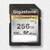 Gigastone�b�M�K�X�g�[���bSDXC�������[�J�[�h 256GB Class10 UHS-I U3 V30�i�W�b�p�[�o�b�N��j�bGJSXR4K-256GV3A1
