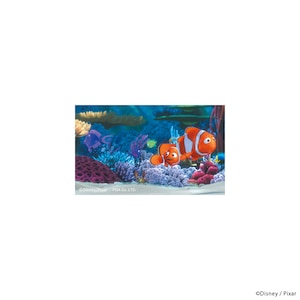 �o�f�`�b�V�l�}�R���N�V���� �X�e�b�J�[�i�t�@�C���f�B���O�E�j���j�bPG-DSTK66NEM