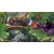 SOFTSOURCE�b�ySwitch�zBATTLE AXE�bHAC-P-AXU6B NSW ���ٱ���