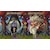 SOFTSOURCE�b�ySwitch�zBATTLE AXE�bHAC-P-AXU6B NSW ���ٱ���