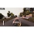 SOFT SOURCE�b�yPS5�zClassic Racers Elite�bELJM-30896 PS5 �׼�� �-�-�� ��-�