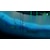SOFT SOURCE�b�yPS5�zBahamut and the Waqwaq Tree�bELJM-30687 PS5 ����-� ���� �� ܸܸ ��-