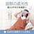 HIRUNEGAO�b�A�C�}�X�N(�I�t�z���C�g)�bHGKEM/OHW