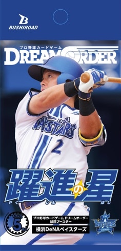 横浜DeNAベイスターズ アイシングポンチョ レア