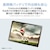 NEC�b�G�k�C�[�V�[�b�^�u���b�g�p�\�R�� LAVIE Tab T11N(11�^/Android/MediaTek Dimensity 6300/������ 8GB/�X�g���[�W 256GB/Wi-Fi)�T���h���[�Y�bPC-T1175MAC