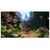 SNAIL GAMES JAPAN�b�yPS4�zARK Park DELUXE EDITION�iPlayStation VR��p�j�bPLJS-36053 ����߰� ��ׯ����ި���
