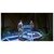 SNAIL GAMES JAPAN�b�yPS4�zARK Park DELUXE EDITION�iPlayStation VR��p�j�bPLJS-36053 ����߰� ��ׯ����ި���