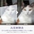 OPPO�i�I�b�|�j�bOPPO A5x�i4GB/128GB�j -  �z���C�g�iSIM�t���[�Łj�bCPH2725WH