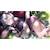 ensemble#｜【Switch】旭光のマリアージュ episode LIA　豪華版｜ARES-009 NSW ｷｬｯｺｳﾉﾏﾘｱｰｼﾞｭ ｹﾞﾝﾃｲ