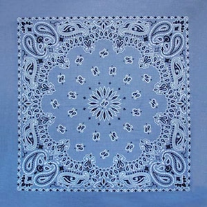 �P�j�����b�N���V�b�N �o���_�i�i�V�����u���[���C�g�u���[�j�bIZC-KY6000CP18