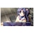 �v���g�^�C�v�b�ySwitch�zCLANNAD�bHAC-P-ASW8A NSW �����