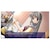 �v���g�^�C�v�b�ySwitch�zCLANNAD�bHAC-P-ASW8A NSW �����