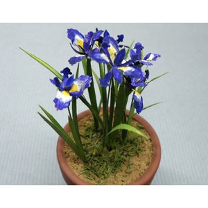 �a�I�b1/12 G-34 �A�C���X�bG34��ؽ