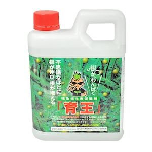 �����ʏ��b�A�������瑣�i�� �牤 1kg�bST-2057382