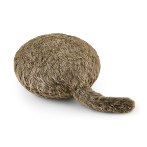 ���J�C�H�w�bQoobo(�N�[�{) FRANCH BROWN�bYE-QB001B