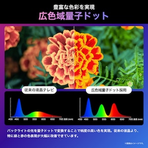 U8Nイメージ