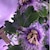 �x�m�q�bLED�A���p�����v�@800���[�����bKY-08W-SC(̼޸�)