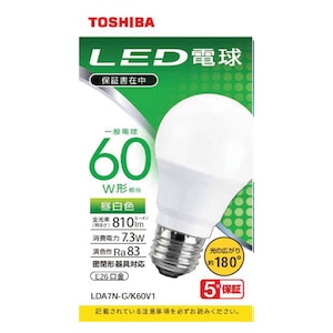 ELPA耐震電球200W E26 クリア さぼる 10個入EVP110V200W-10P