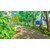 �l�I�X�b�ySwitch�z�N���������񂿂��w�I���Ɣ��m�̉ċx�݁x�`�����Ȃ������Ԃ̗��`�@�v���~�A���{�b�N�X�bNEOS-P005 NSW ���ݼ���� ���ʶ����Խ� ���ò