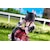 �t�@�b�g�E�J���p�j�[�b1/7 �G�C�V���t���b�V�� �����|�[�YVer.�i�E�}�� �v���e�B�[�_�[�r�[�j�b1/7 �����ׯ�� �����߰��VER