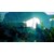 Deep Silver�b�yPS4�zManeater�bPLJM-16758 PS4 �ݲ���