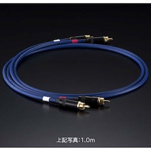 �`�d�s�bRCA�P�[�u��(3.0m�E�y�A)�@���󒍐��Y�i���bEVO0503-ARCA/3.0m